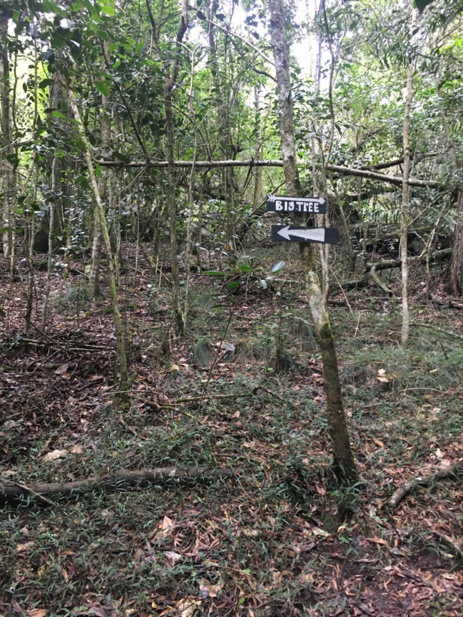 Pura Vida Forest Cabin Witelsbos Buitenkant foto